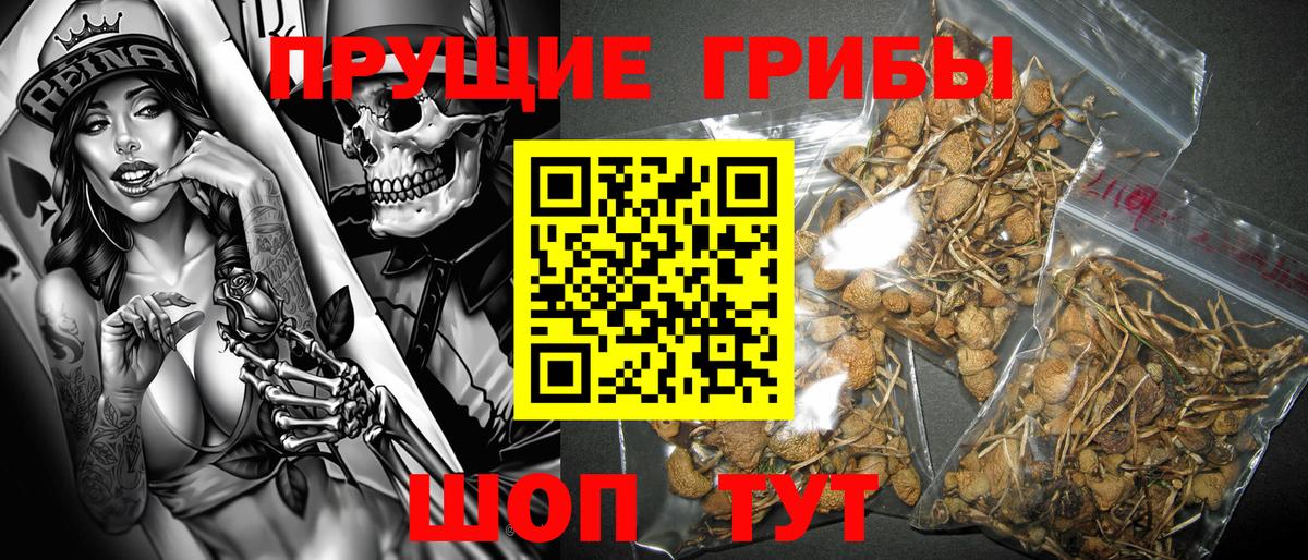 Галлюциногенные грибы ЛСД  купить наркотик  Галлюциногенные грибы GOLDEN TEACHER  Симферополь  Вход с VPN 